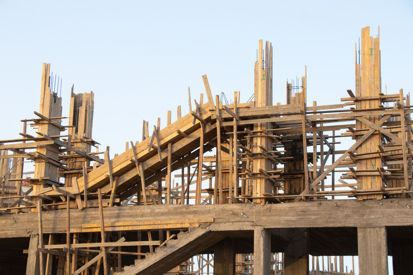 Egypt’s lumber imports increase 16% in first quarter of 2024