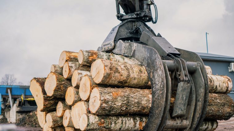Stiga RM acquires Norupe sawmill in Latvia