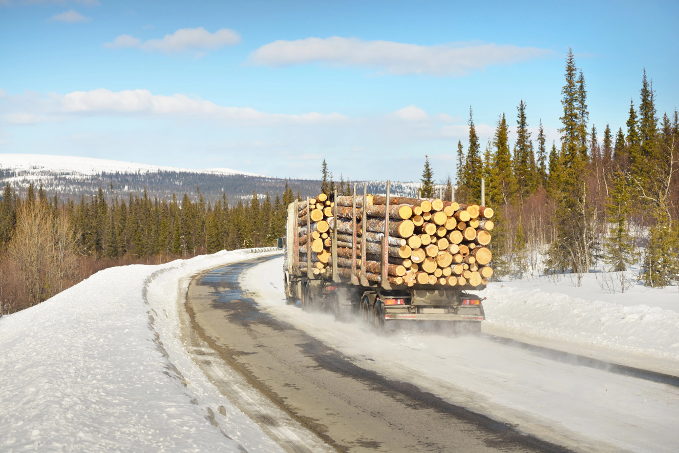 Finland’s industrial roundwood removals in January increase 16%