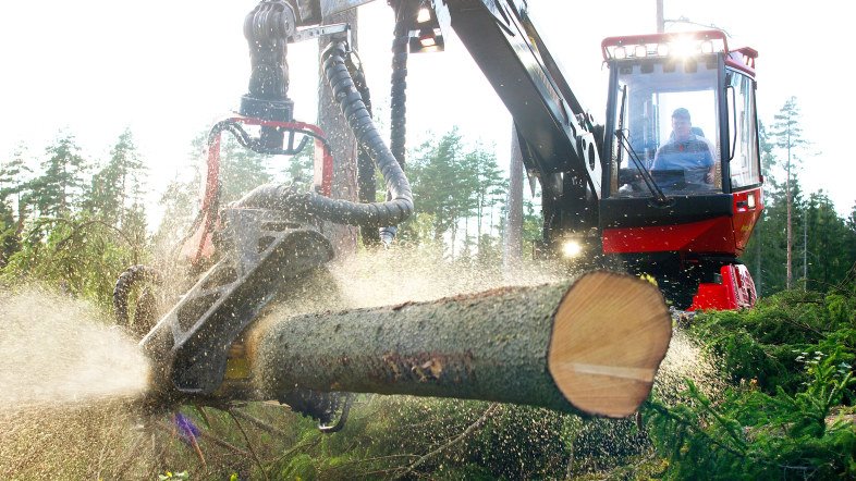 Mild weather impacts Södra"s harvesting planning