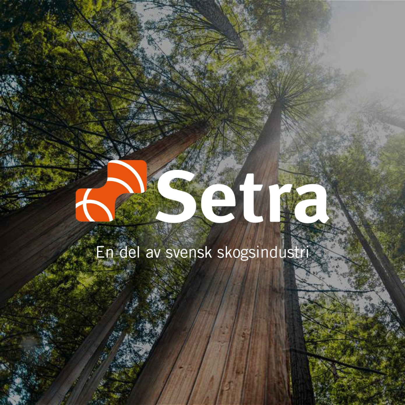 Sveaskog продает свою долю в Setra Group ассоциации Mellanskog