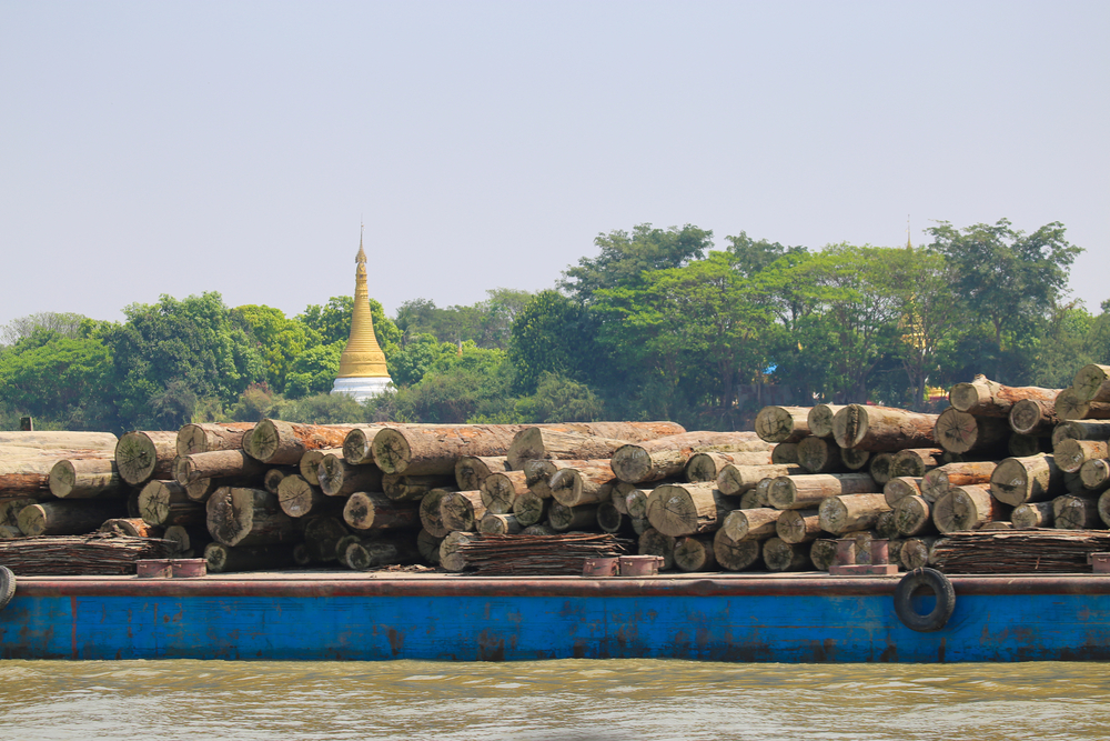 U.S. companies stilll importing teakwood from Myanmar despite sanctions