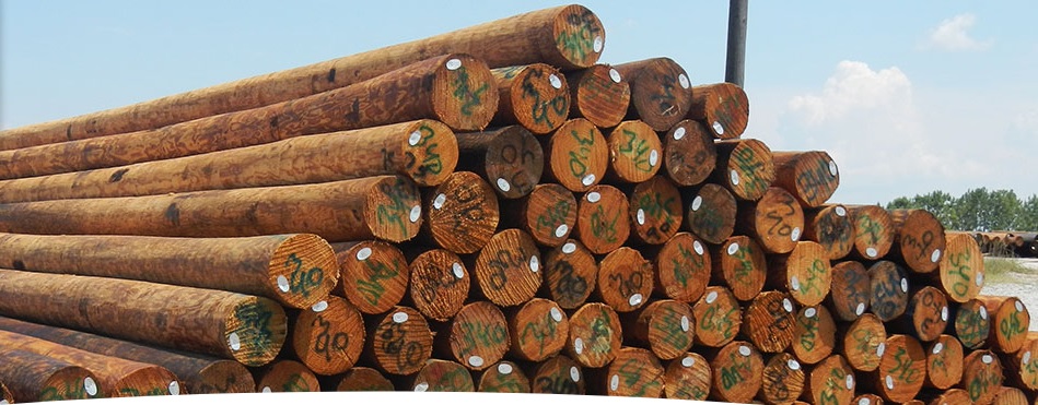 Stella-Jones завершила сделку по приобретению американской Cahaba Pressure Treated Forest Products