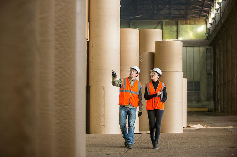 Whakatane Paper Mill"s investment to boost folding boxboard production