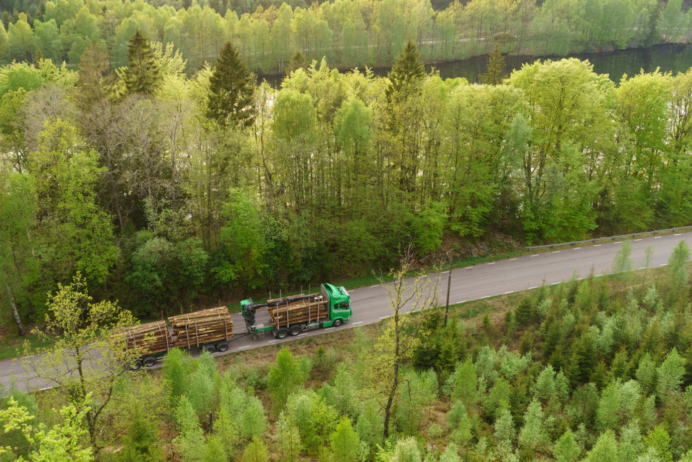 Södra raises timber prices, changes terms for log sales