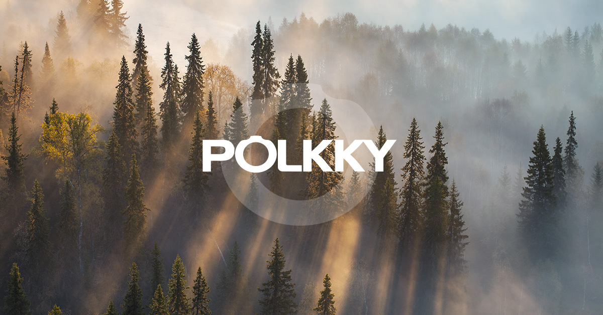 Polkky Group меняет организационную структуру