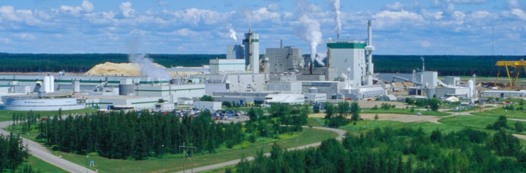 Paper Excellence to restart Prince Albert pulp mill in coming months