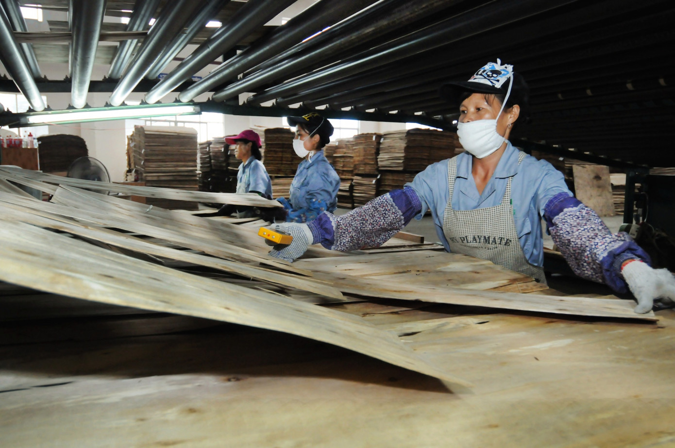 Chinese export plywood price soar 17.9% in August 2021