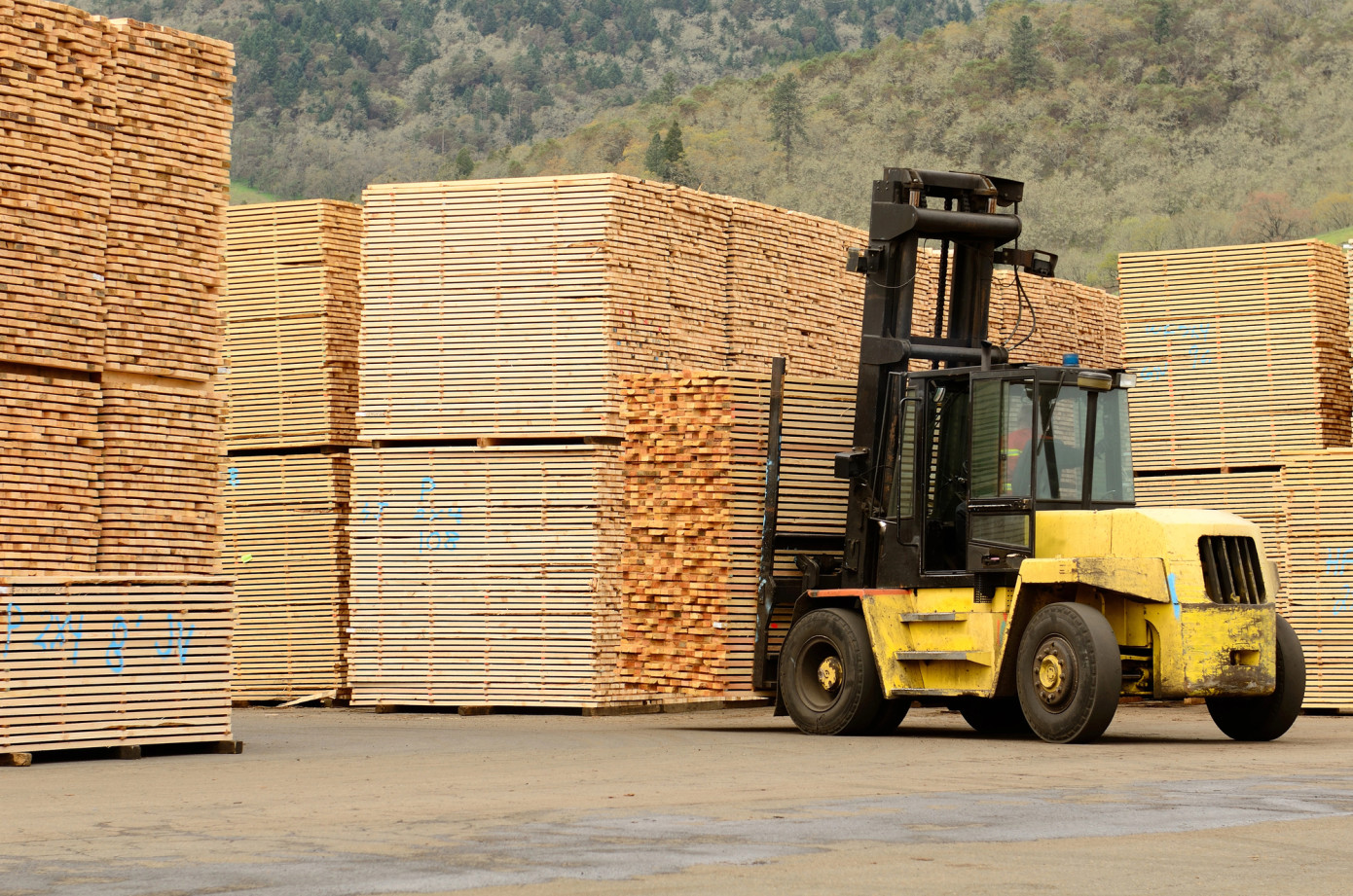 Softwood lumber PPI decreases by 1% in December, hardwood prices stable