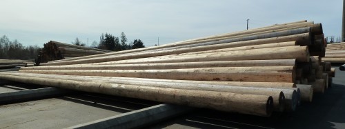 Bell Lumber & Pole acquires utility pole manufacturer & supplier