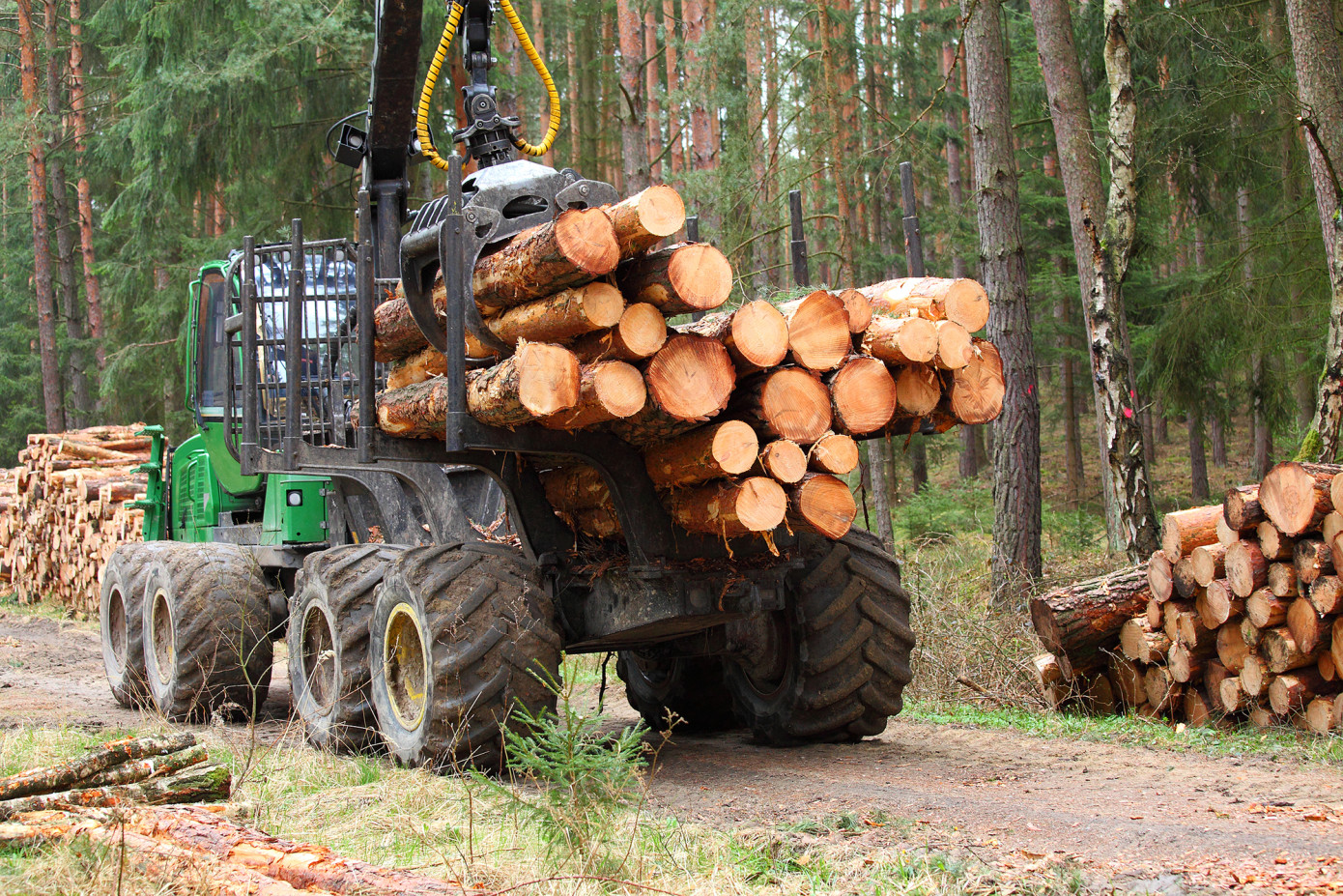 Finland"s wood trade prices reach record highs in June