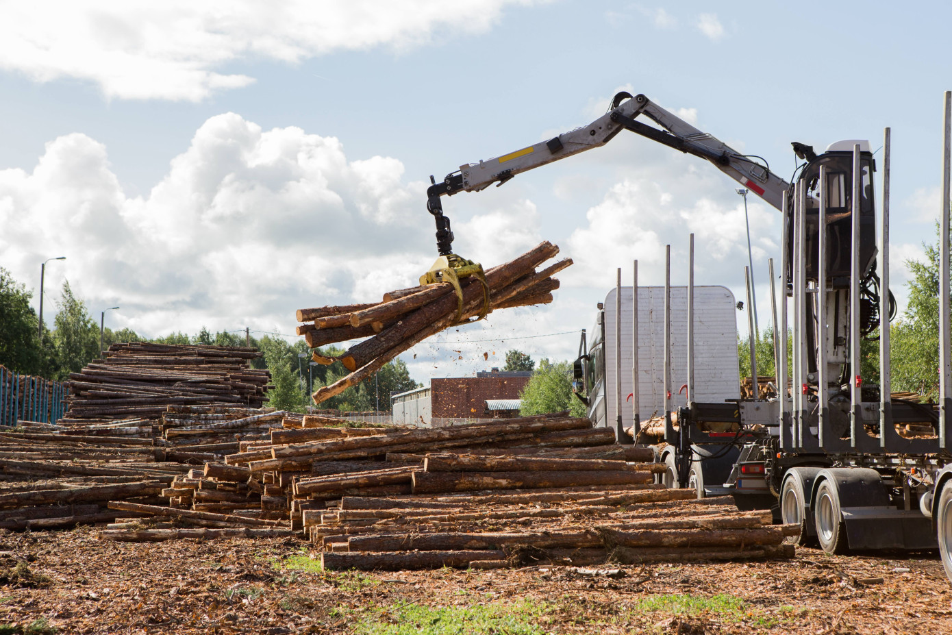 Commercial felling drops in April 2024 in Finland