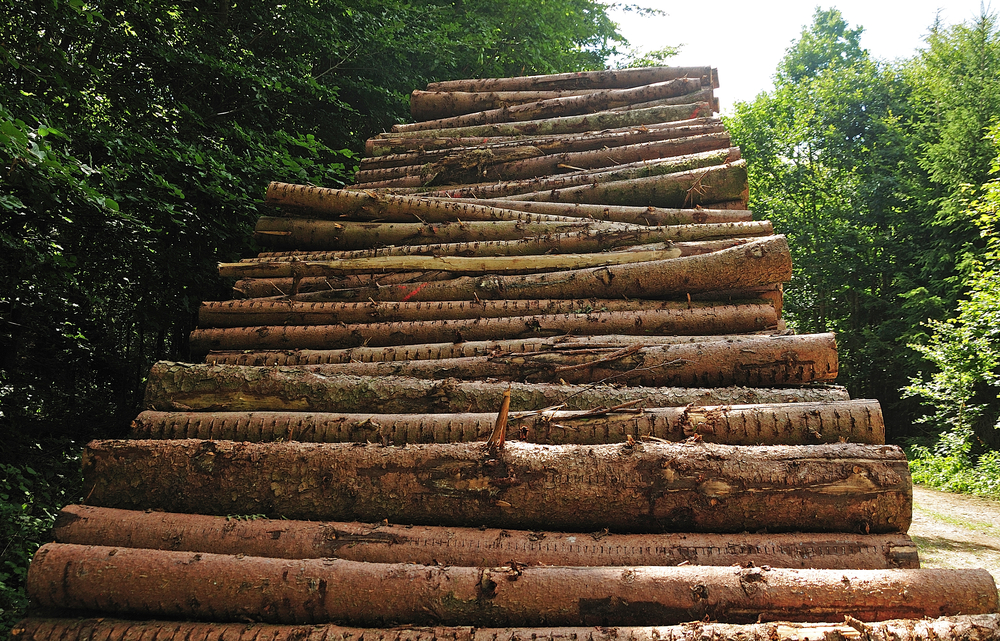 Timber prices continue to decline in Finland