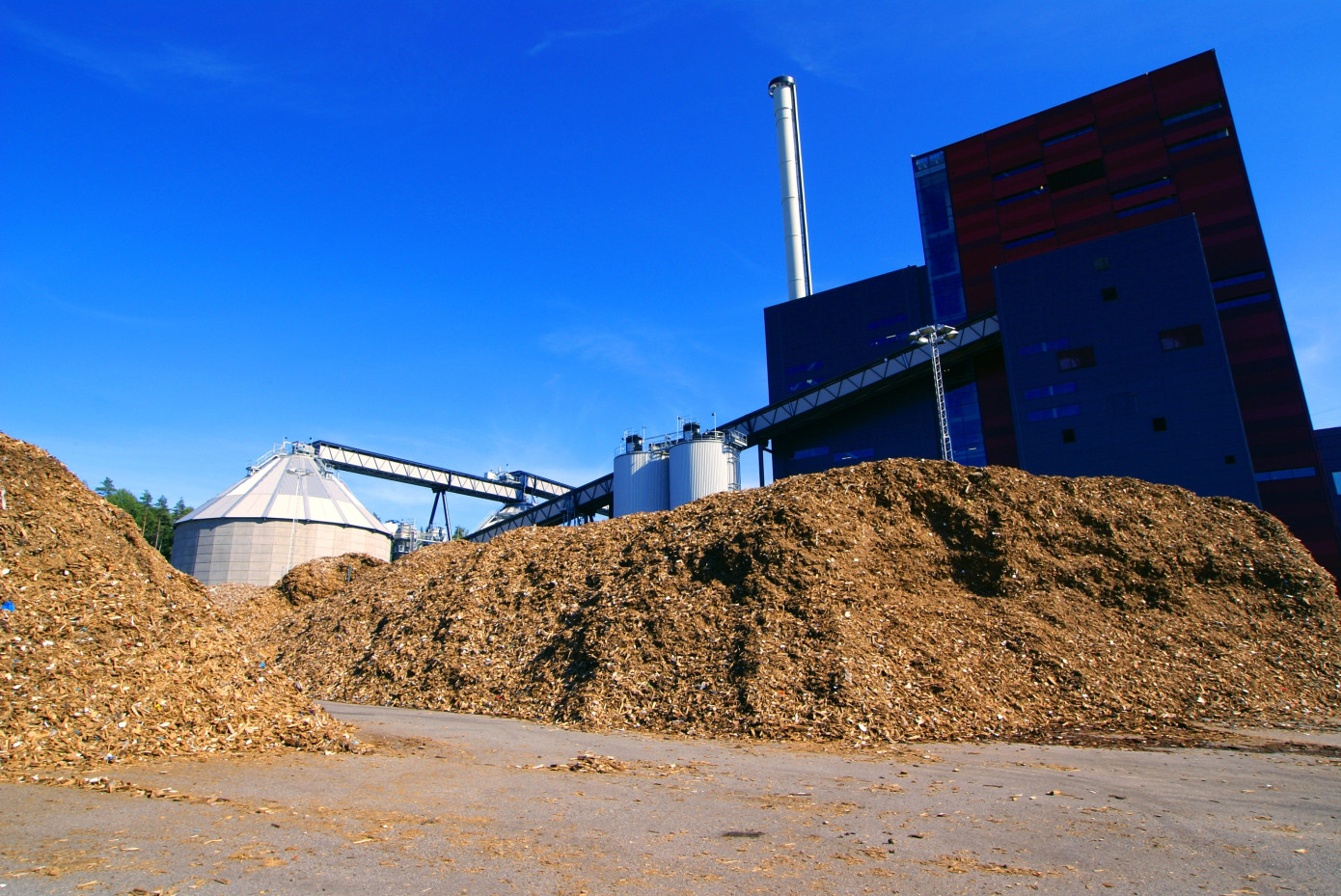 United States’ wood chip exports fall 0.6% in 2024