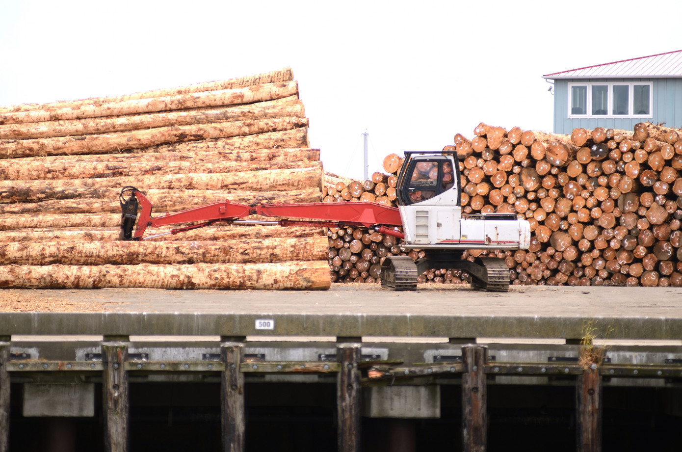 Exports of logs from New Zealand to South Korea decline 67% in June