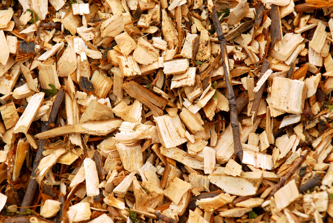 In May, price for wood chips exported from Australia to China gains 1.2%