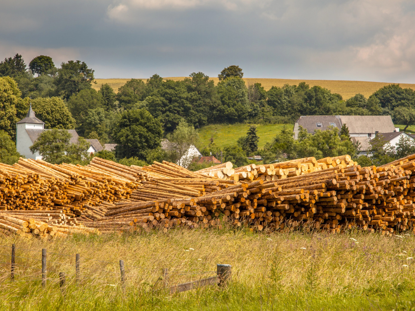 German state Baden-Württemberg faces Euro 500 million liability in landmark timber cartel ruling