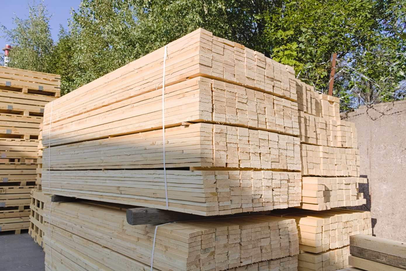 Exports of lumber from Chile expand 49% in September