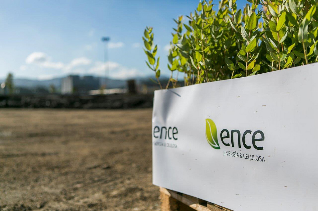 Ence продала 49% акций Ence Energia