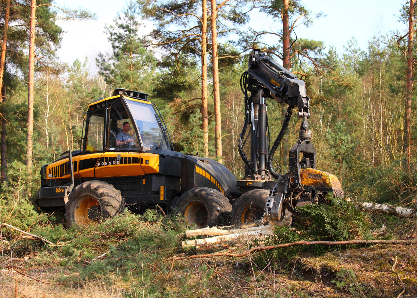 Notified felling areas in Sweden decline in June and July