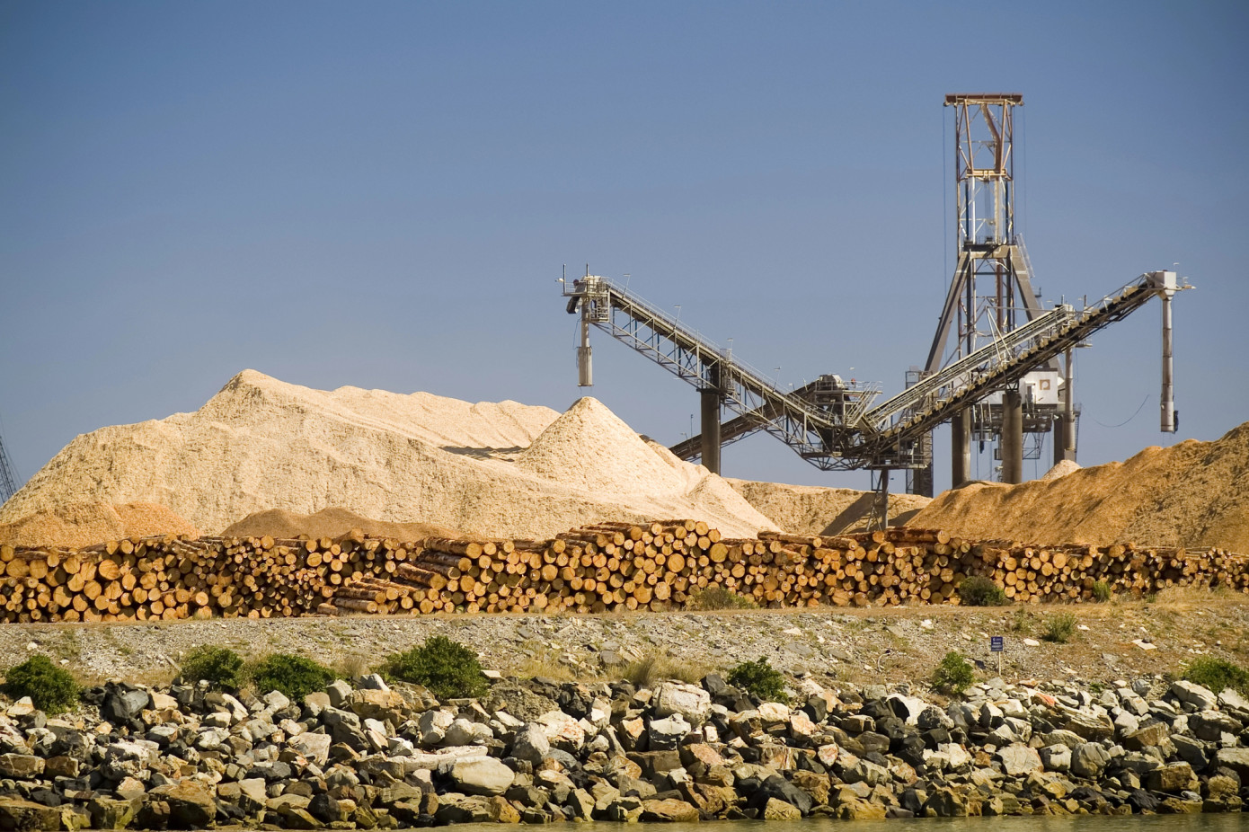 Chile’s wood chips exports grow 6.6% in first half of 2024