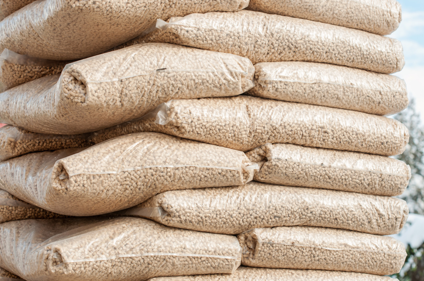 Exports of wood pellets from U.S. continue to rise, reaching alltime