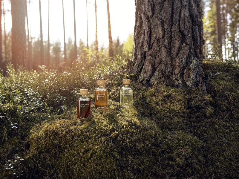 Södra launches Liquid Forest