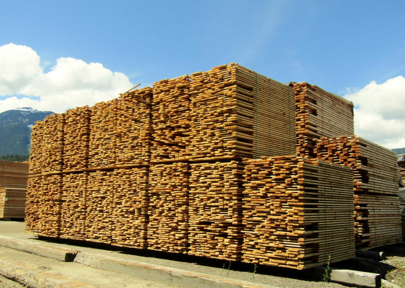 In May, price for lumber imported to European Union contracts 15%