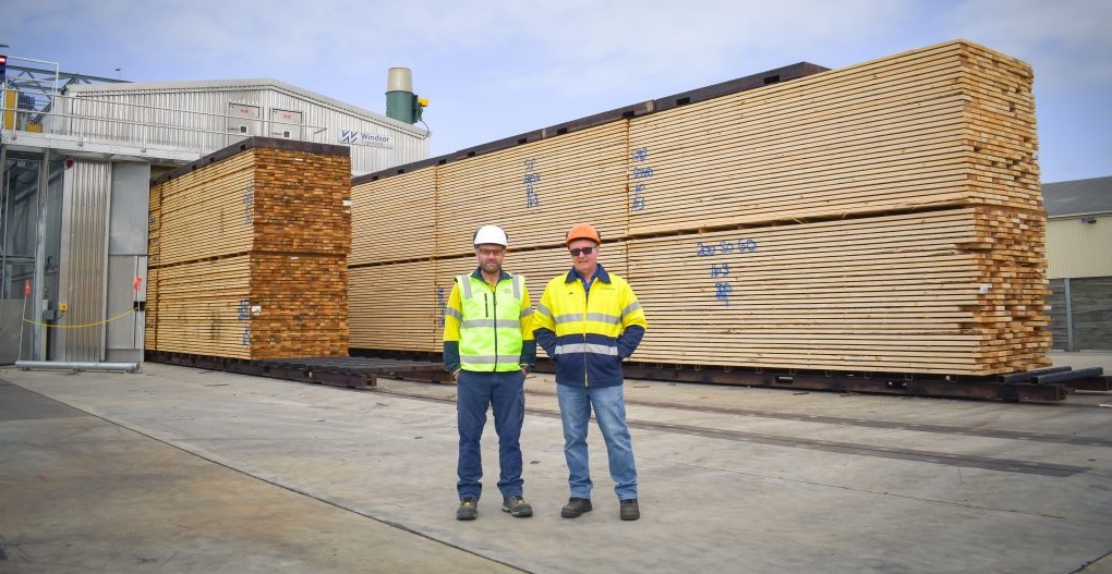 OneFortyOne completes $16 million kiln upgrade at Jubilee sawmill