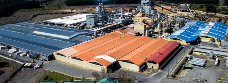 Arauco orders OSB plant from Dieffenbacher