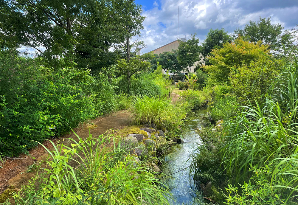 Rengo"s Takefu Plant biotope receives "Nature symbiosis sites" certification