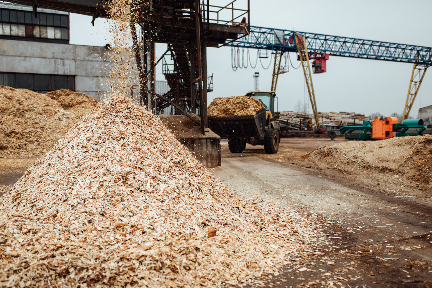 United States’ exports of wood chips fall 31% in May