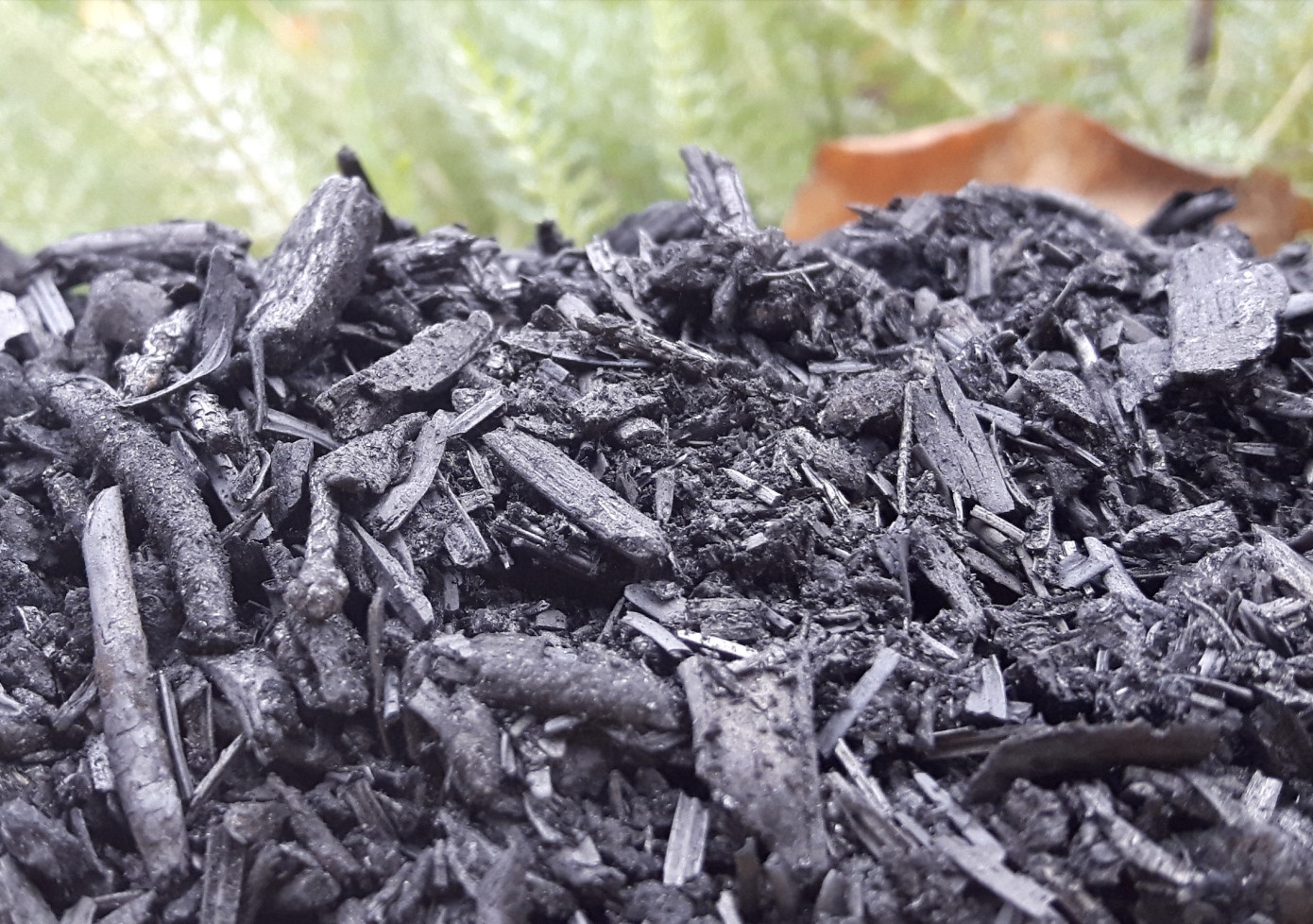 Biochar halves DDT contamination risks in soil, Chalmers University reports