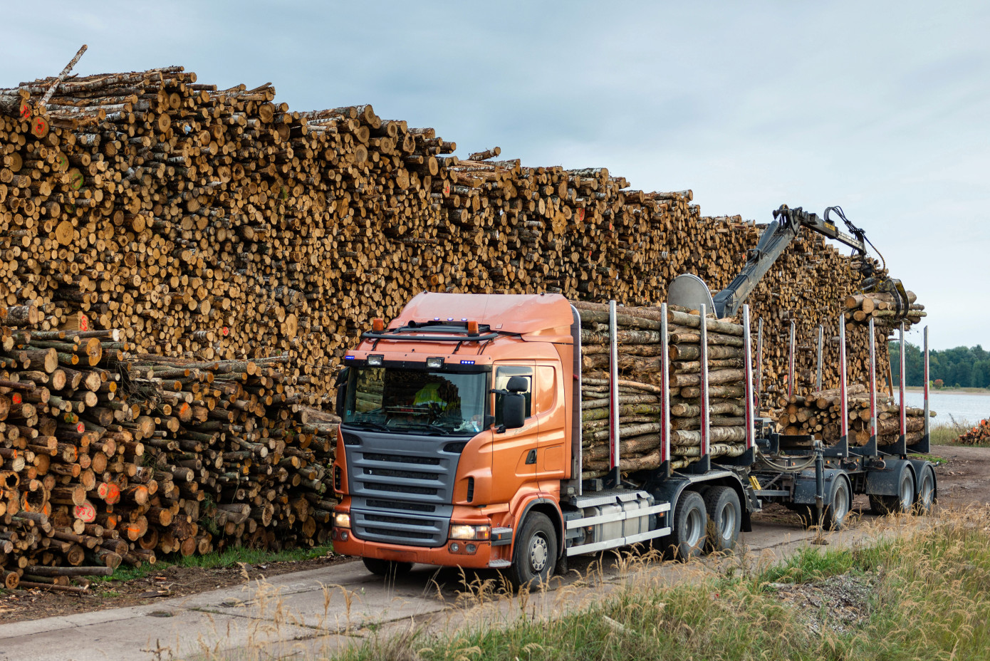 Finland"s roundwood harvests decrease in August, though year-to-date volumes remain stable