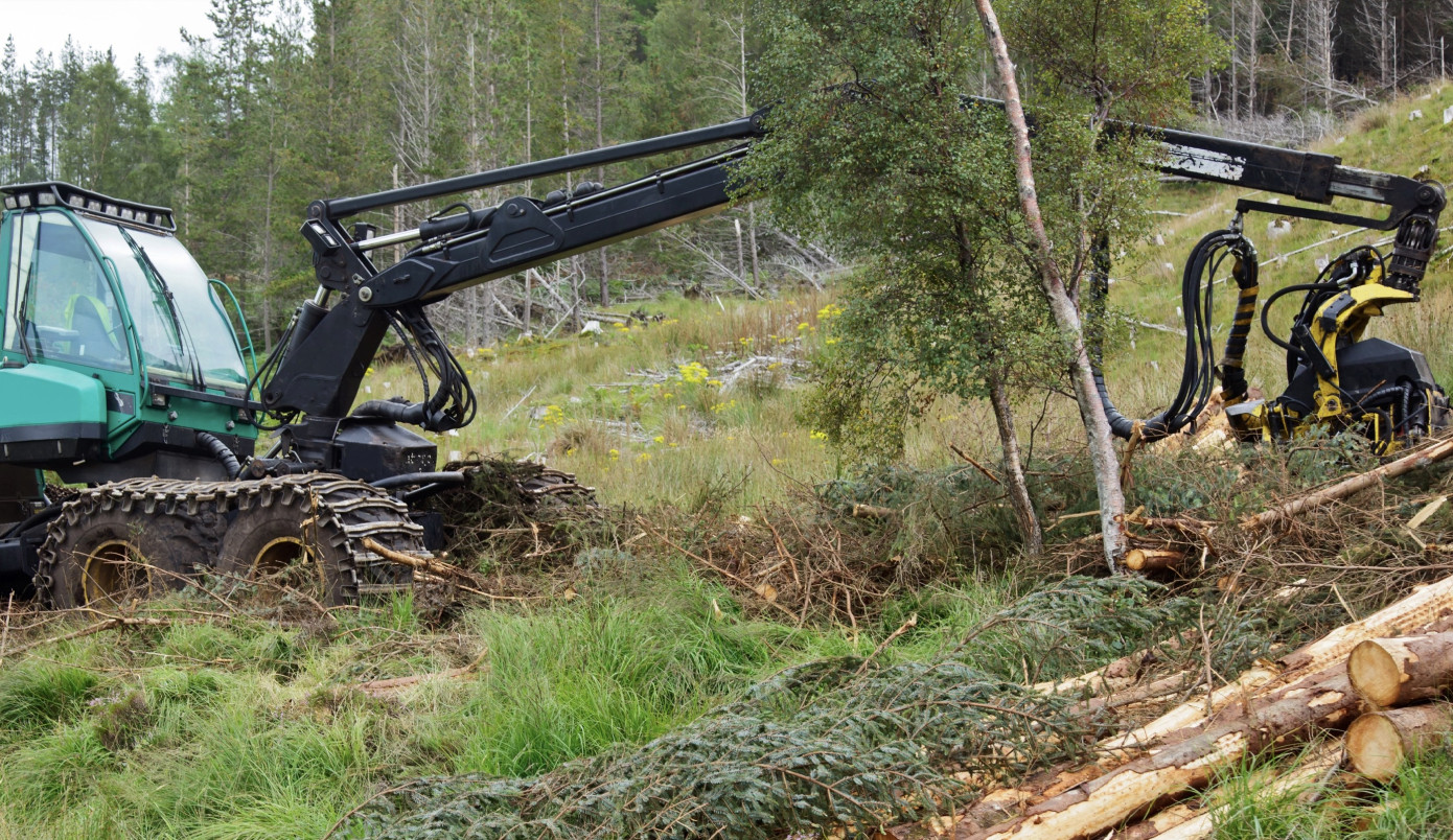 In June, roundwood harvest rises 4% in Finland, but trails five-year average