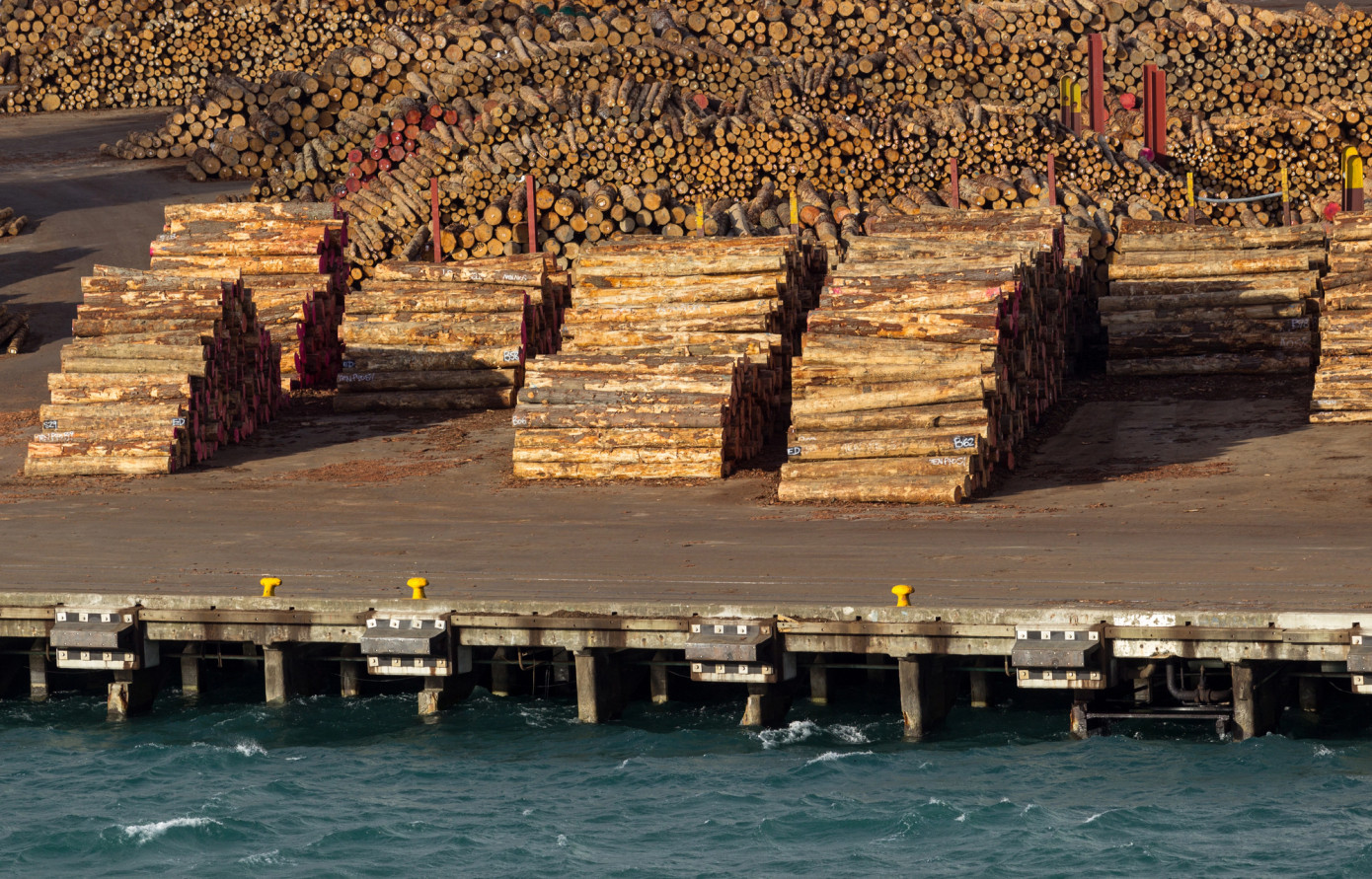 Exports of logs from Germany fall 67% in August