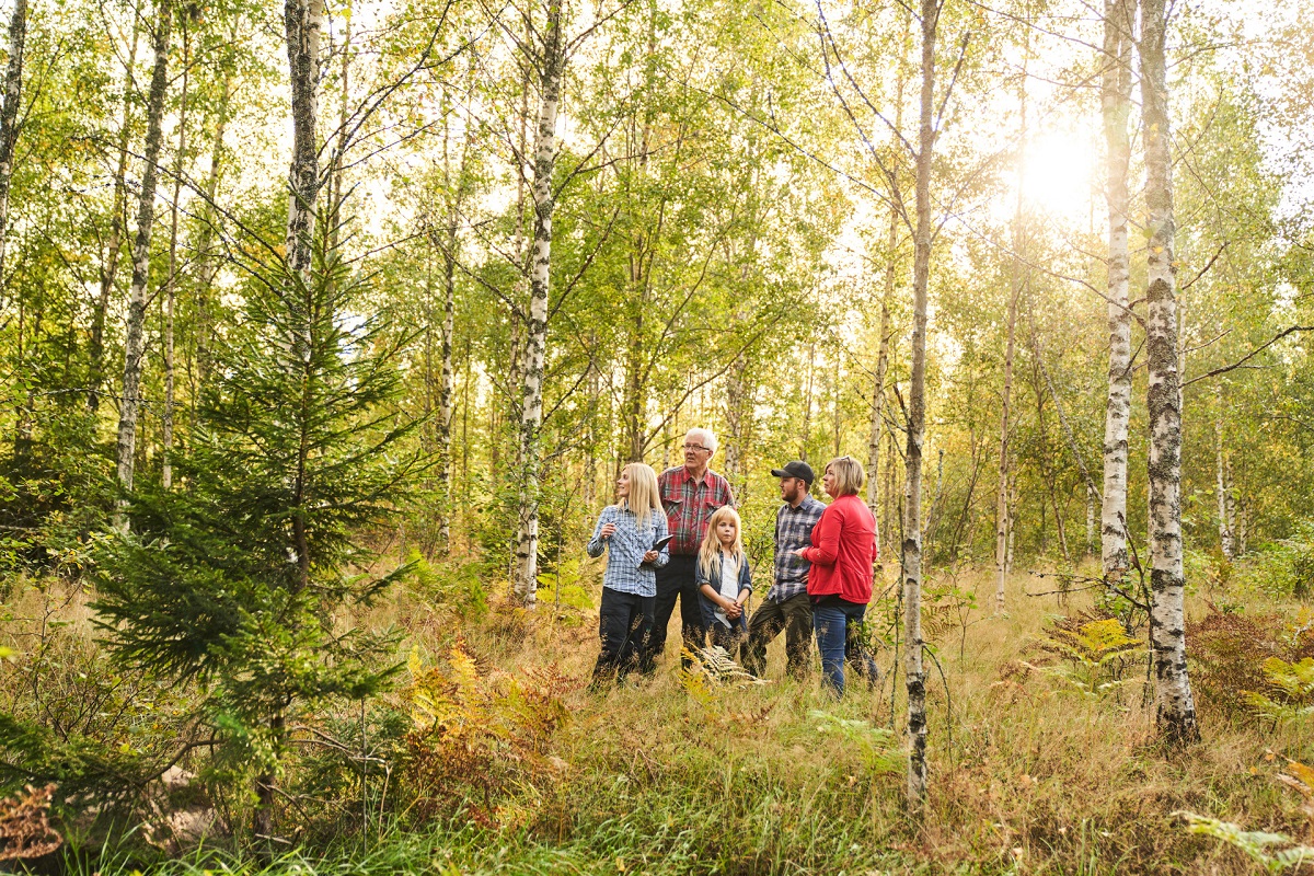 Södra forms new subsidiary for developing family forestry