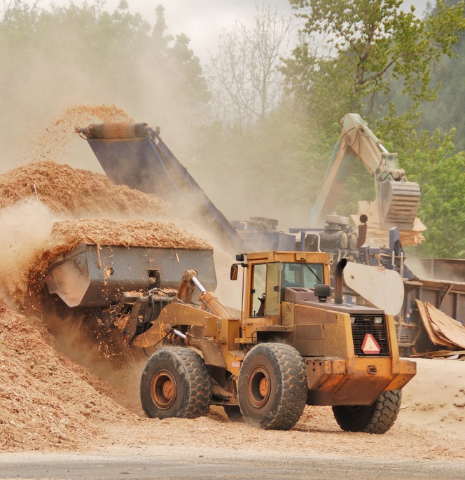 Global wood fiber trade up 5% in 1H 2022