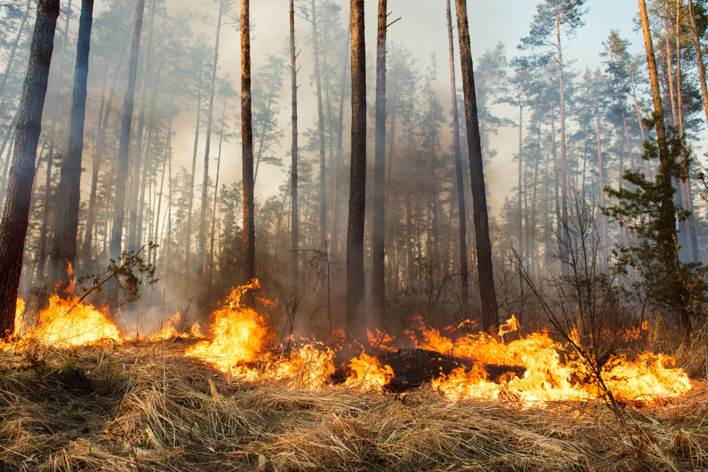 Canadian wildfires cause poor air quality alert in New England states