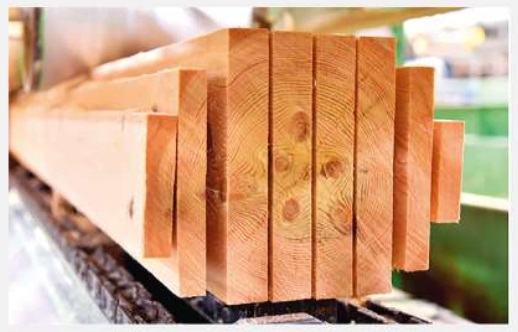 Bergs Timber"s 1Q net sales up 12%