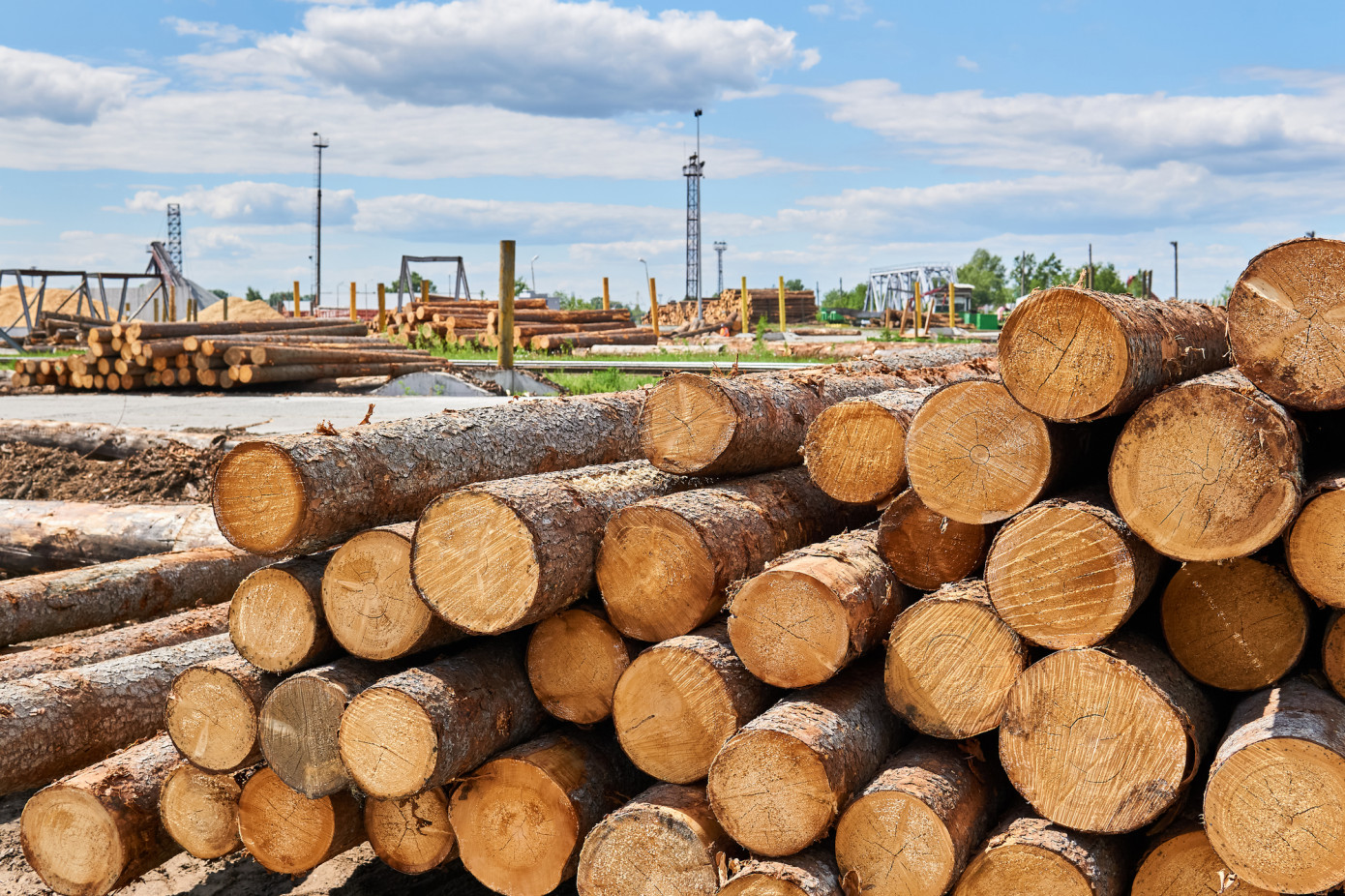 In April, price for logs exported from New Zealand loses 12%