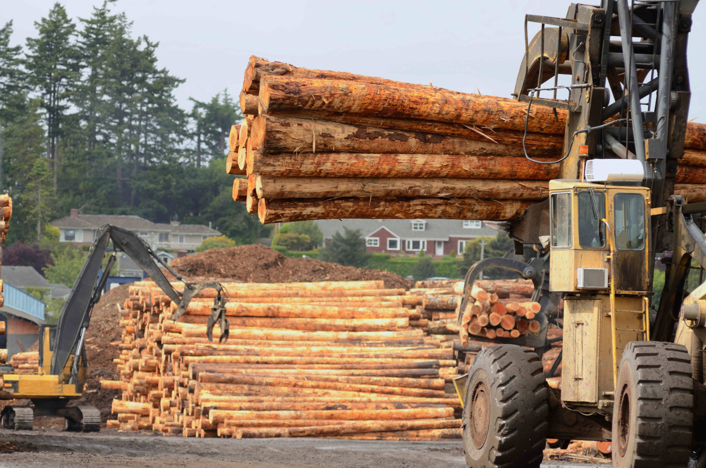 Finnish timber trade maintains high prices in July amid signs of price stabilisation