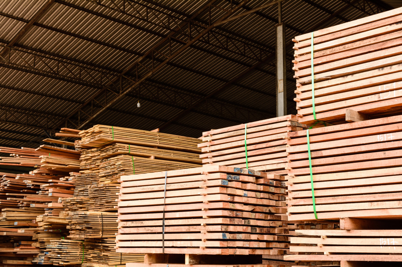 Exports of lumber from New Zealand increase 47% in November