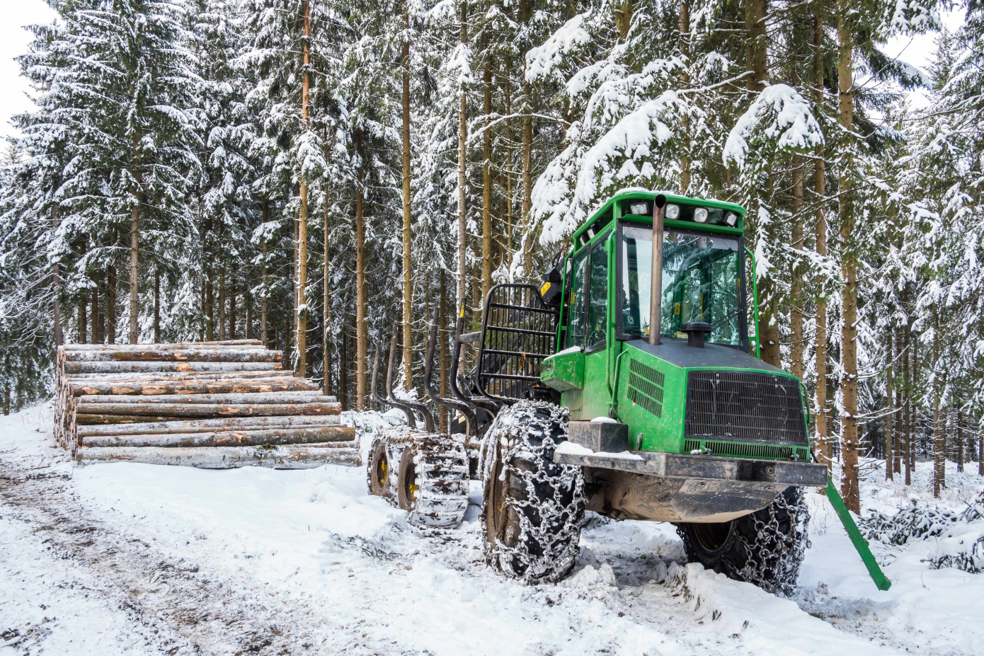 Södra raises timber prices on February 13, 2025