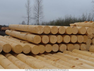 Zylindrisch rundholz Sibirische Lärche 280 mm x 4 m
