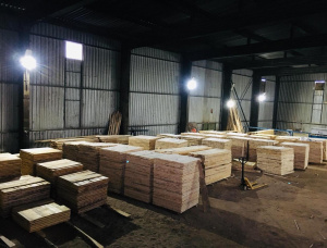 European spruce Pallet timber 22 mm x 100 mm x 1200 mm