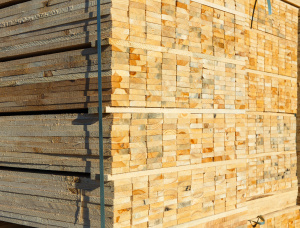 30 mm x 100 mm x 6000 mm AD R/S  Spruce-Pine (S-P) Lumber