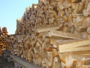 经验丰富的木柴 垂枝桦 100 mm x 400 mm