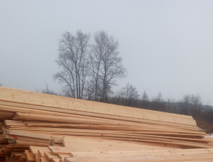 50 mm x 125 mm x 3000 mm GR S4S  Spruce-Pine (S-P) Lumber