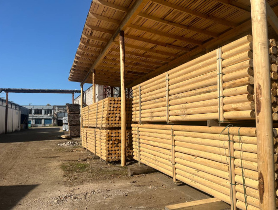 Pine Rounded beam 160 mm x 6 m